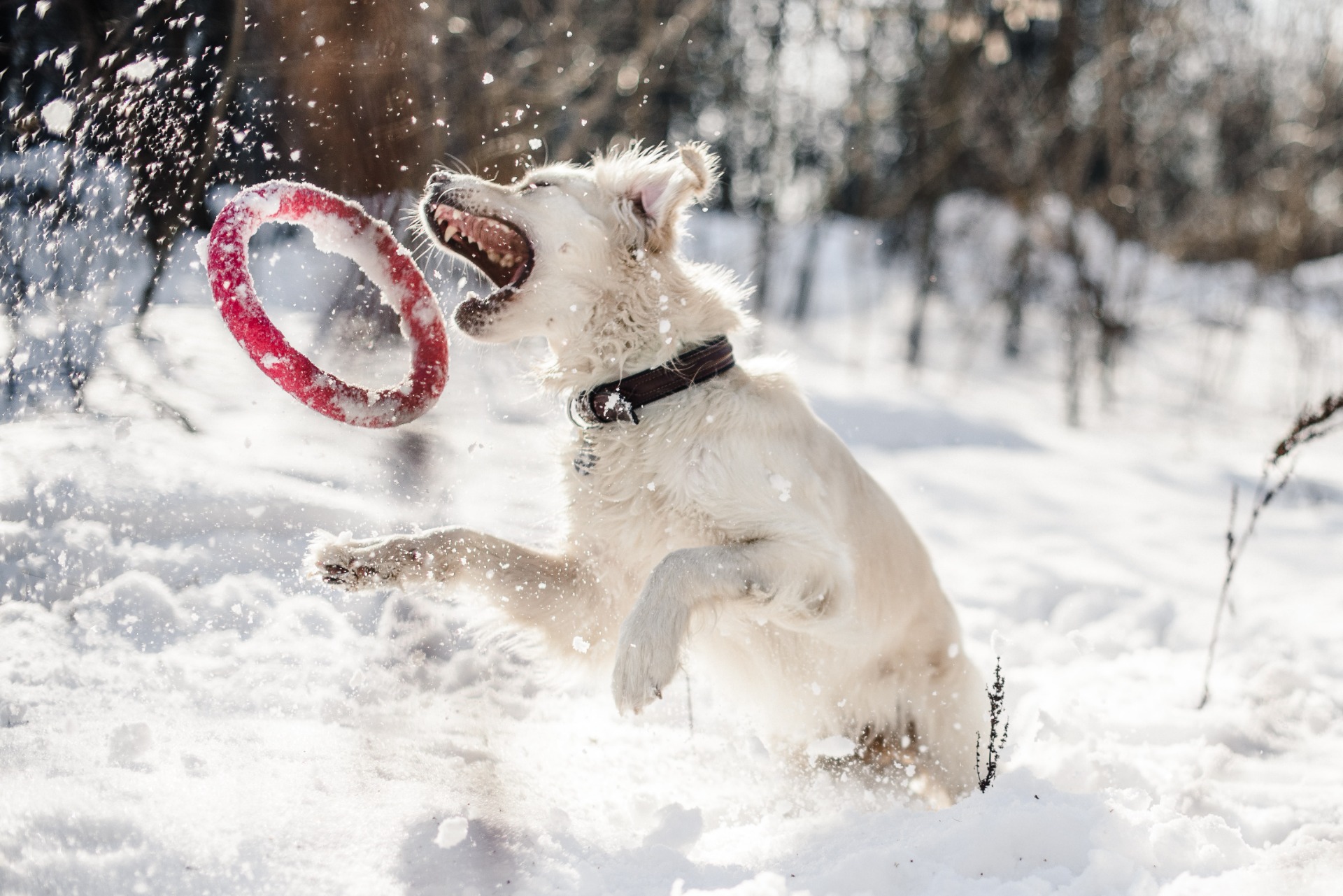 Photo by Anastasia Ulyanova on unsplash